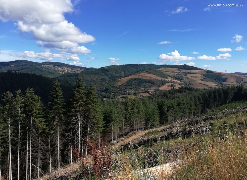 Monts du Beaujolais vert
