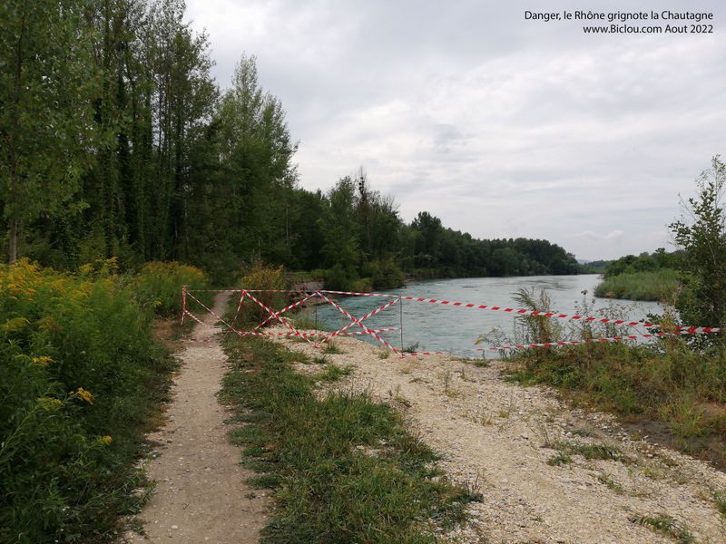 Le Rhône grignote la forêt de Chautagne