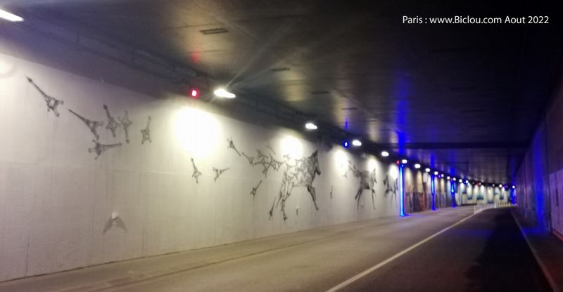Paris : Tunnel des Tuileries , àà Bicyclette et désert .. (2022)