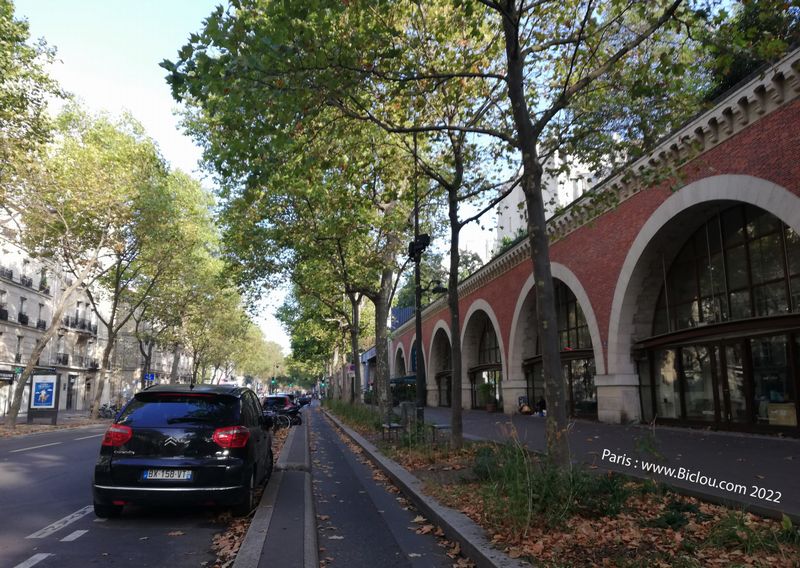 Une Piste cyclable dans Paris 2022