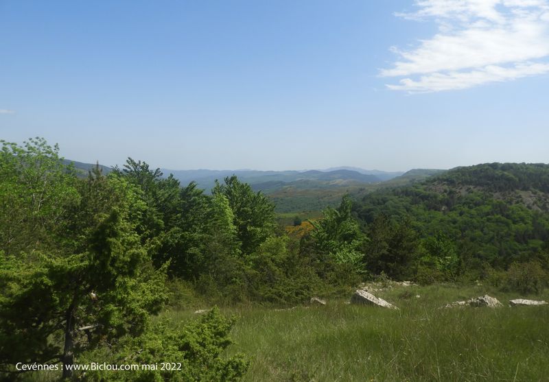 Paysage des Cévennes