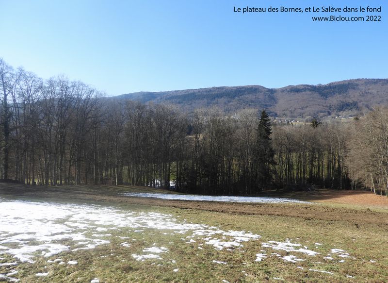 Nous sommes sous le Salève, exactement à 900 m d'altitude, au mois de Février 2022 !