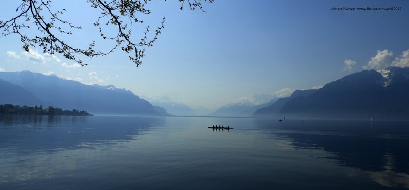 Le Léman (Bleu en efffet) , vu de Vevey