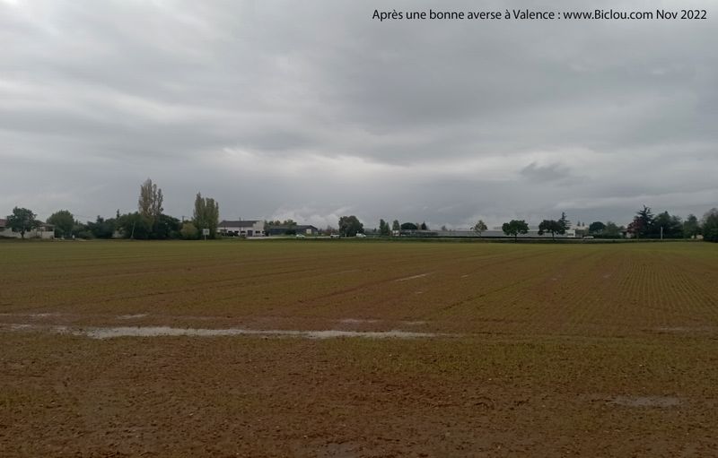 Un peu de pluie sur les cultures
