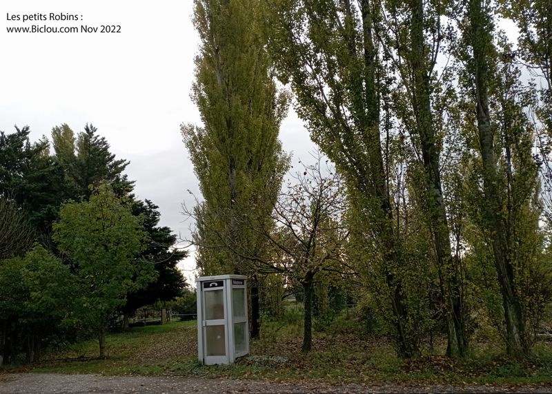 Une cabine téléphonique publique, sauvée de la modernité