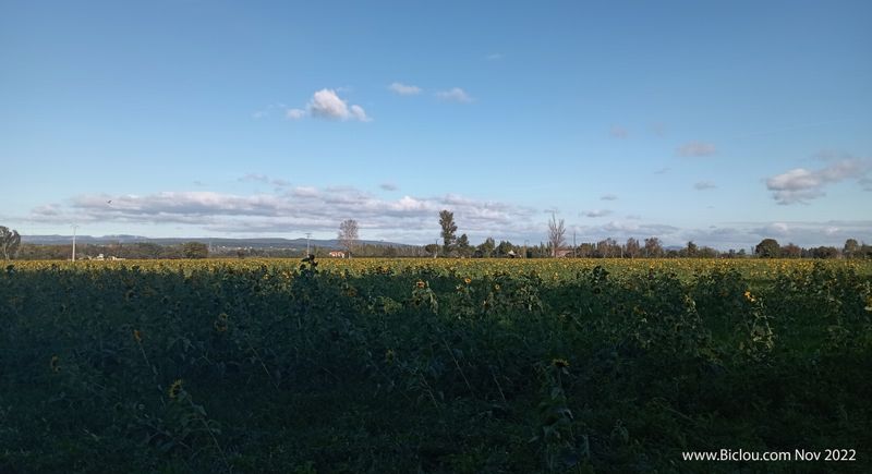 La plaine du Rhône du côté de Pierrelatte