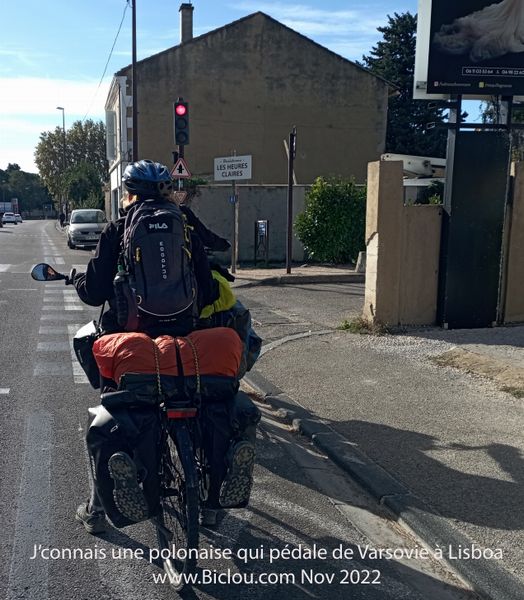 Sacocharde Polonaise vue à Avignon en 2022