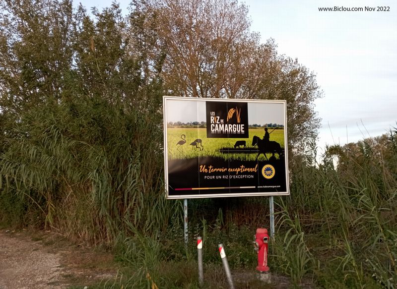 Riz de Camargue