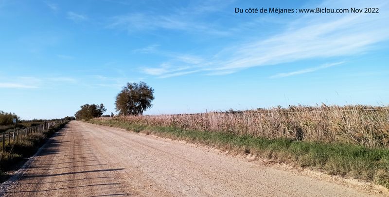 Gravelle en Camargue