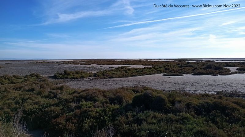 Du côté du Vaccarès