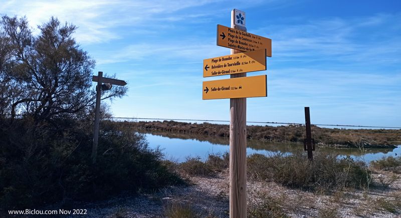 alisage pour randonnées , en Camargue