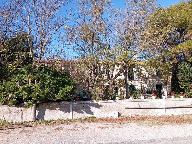Restaurant de Villeneuve (Camargue, sud de Arles)