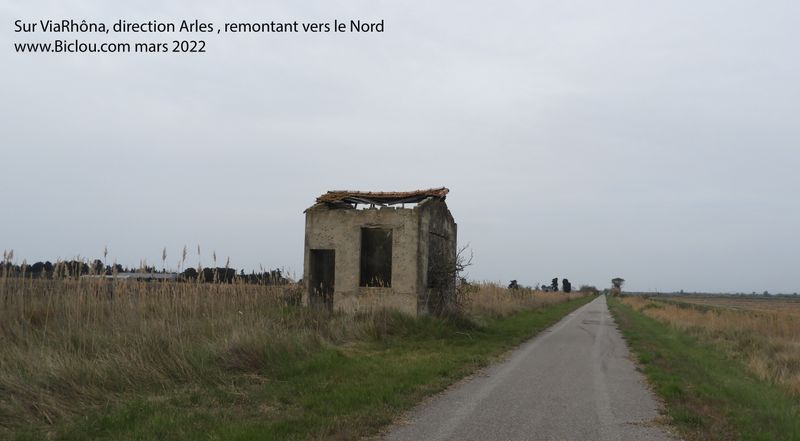 Sur ViaRhôna , en direction de Arles vers le Nord