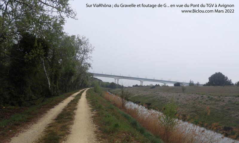 Sur Viarhôna, gravelle vers Avignon 