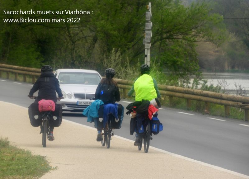 Sacochards muets sur ViaRhôna (2022)