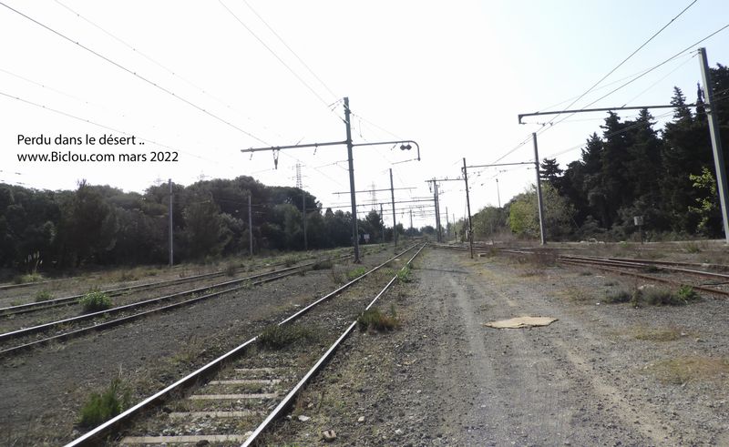 Perdu dans le désert..