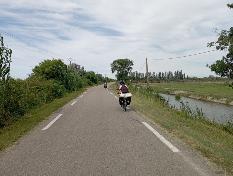 Sur la route, en Camargue Gardoise, on y croise quelques jeunes courageuses sacochardes 