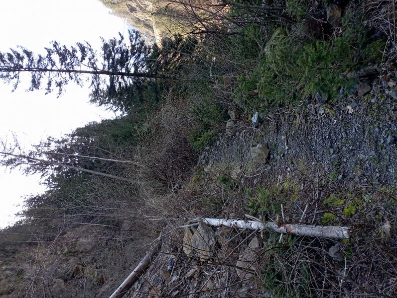 Le chemin partant de Servoz et menant aux Praz (chamonix), côté gauche de l'Arve en montant est impraticable