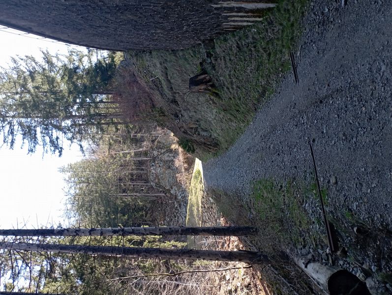 Chemin des Diligences : sous Vaudagne, direction Chamonix, plutôt raide ..