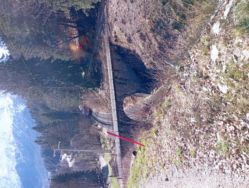 Le train rouge de Chamonix