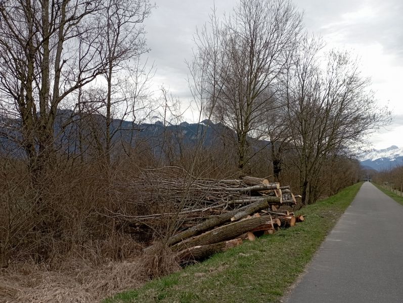 Entretien de la levée du Rhône (Suisse)
