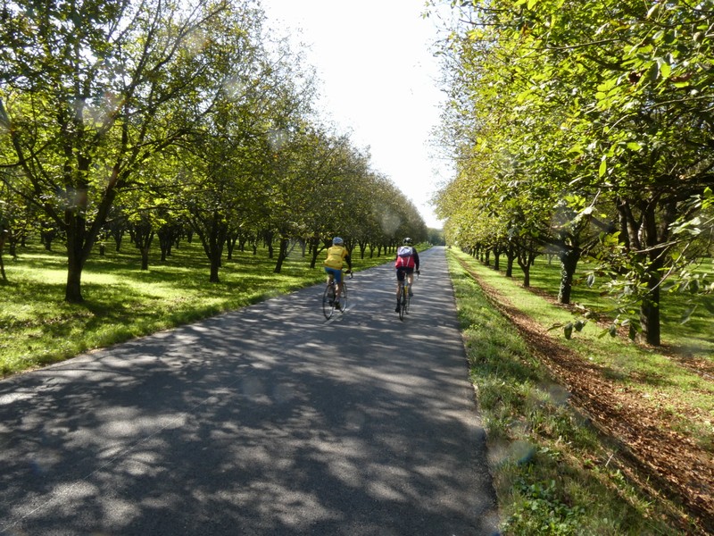 Cyclos en goguette le long des Noyers en Isère (2023)