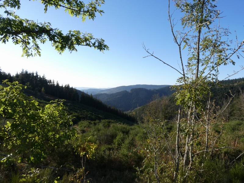 montagnes de haute loire