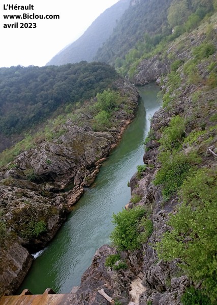 Le fleuve hérault en aval du barrage de saint Guilhem le désert, creuse son sillon