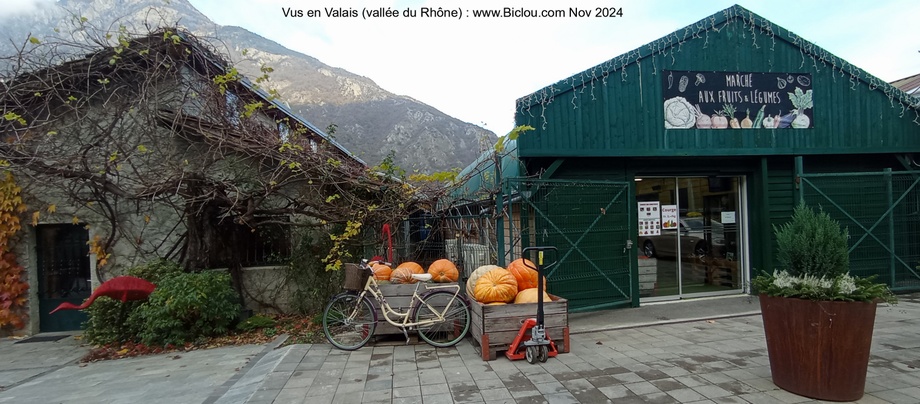 En vallée du Rhône (Vernayaz) : Belles Courges du Valais