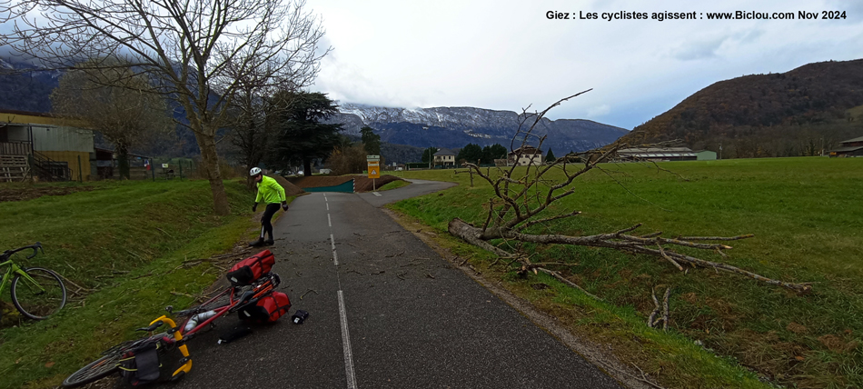 La tempête Cataneo a frappé ; à Giez (Haute Savoie) , les cyclos agissent et dégagent l'arbre