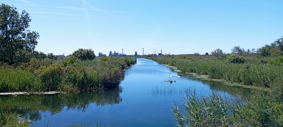 au bout de ce canal arcelor-mittal à fos sur mer