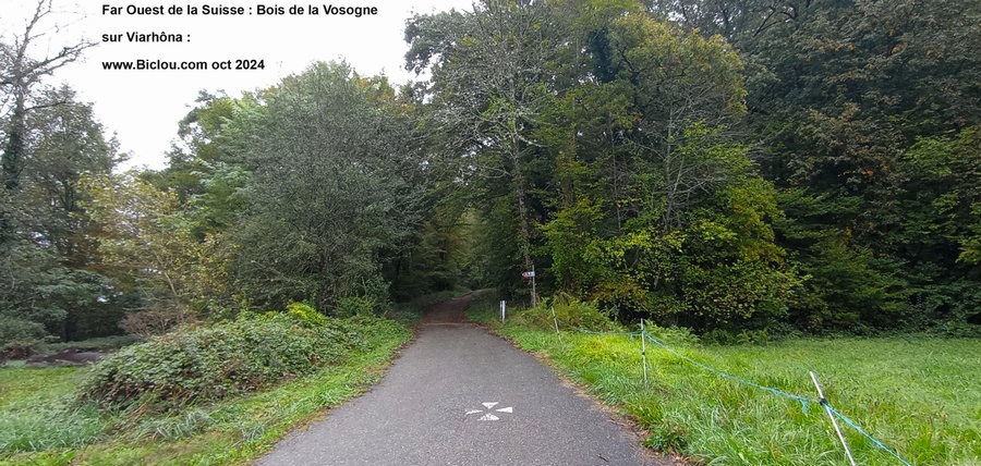 Far Ouest de la Suisse du côté de Chancy, sur Viarhôna dans le bois de Vosogne, attention ça Crimpe fprt ..