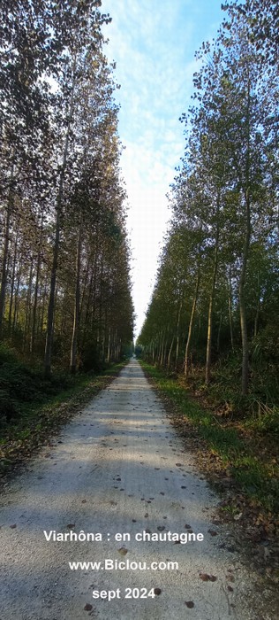 ViaRhôna en Chautagne