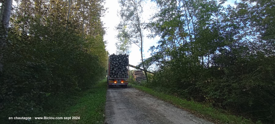 Chemin dévié Viarhôna en chautagne et travaux forestiers