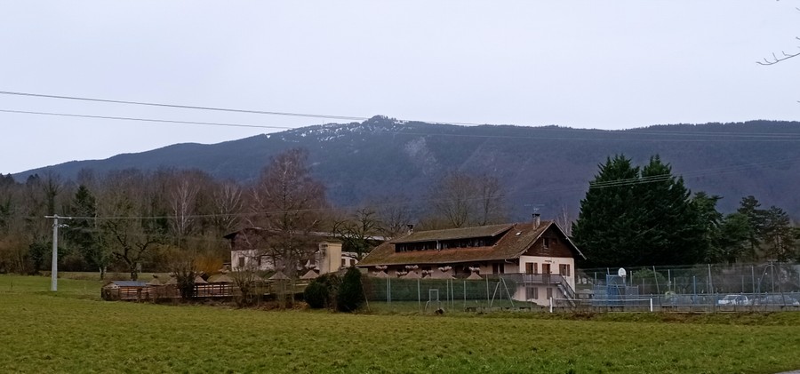 Le Semnoz sans Neige (Fev 2024)