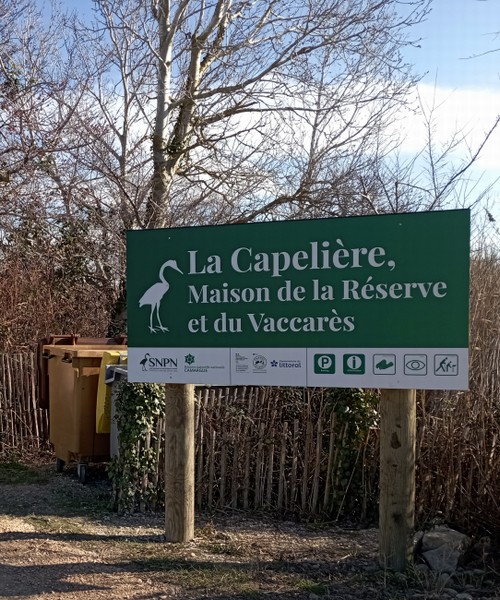La Capelière (Vaccarès)