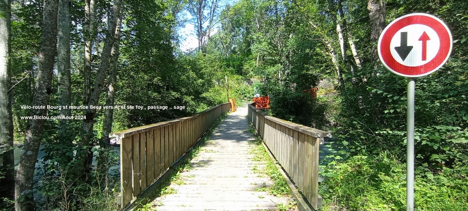 Pour Sainte Foy et la voie verte, il suffit de passer ce pont (attention, passage technique)