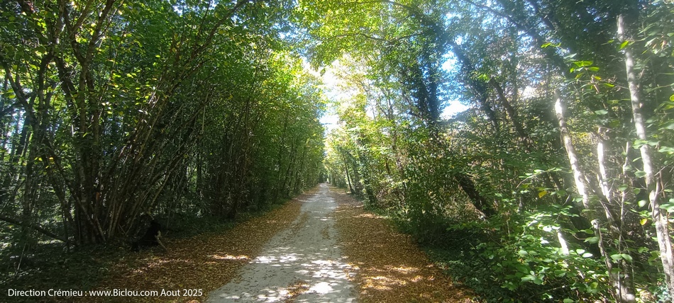 Vers Crémieu (Isère) , par les bois d'Arendon, vélo-route dite VBD