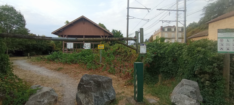 Au départ des Lônes du Rhône (Irigny)