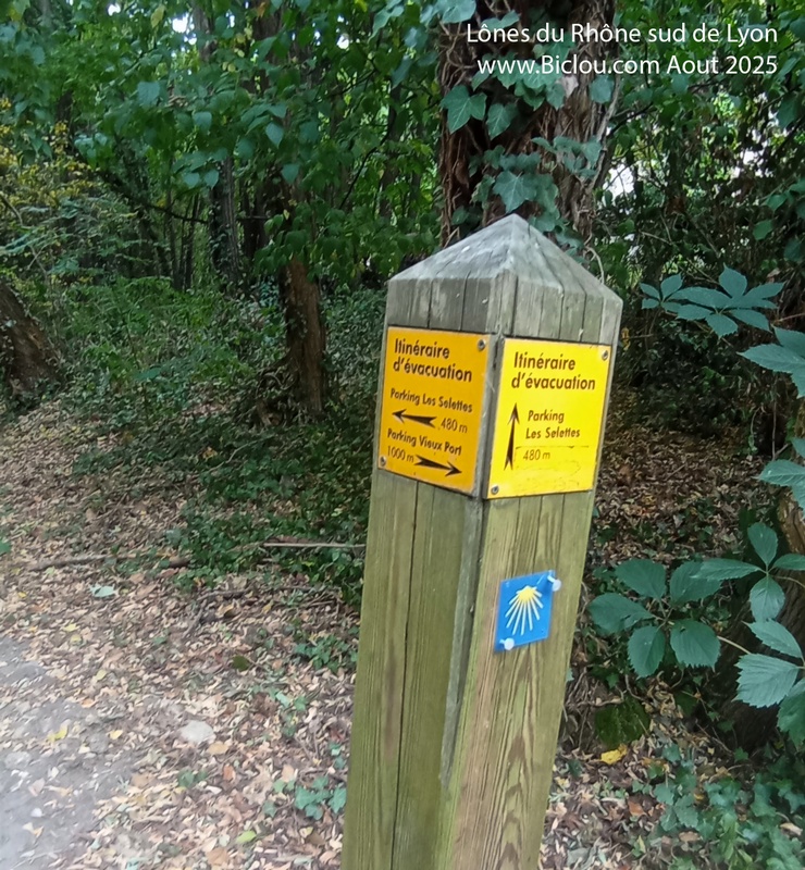 Sur le chemin de Compostelle, sous la protection de Dieu ..