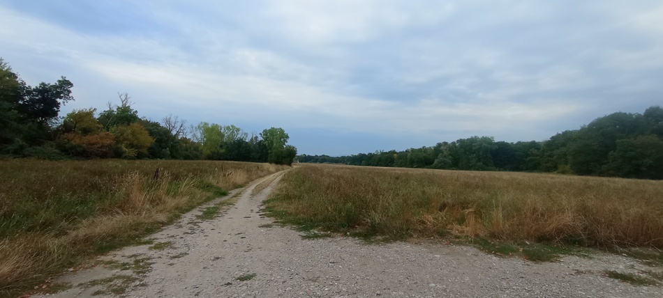 Dans le lit secondaire du Rhône au sud de Lyon, sur le chemin dit de Compostelle : mais pas ViaRhôna