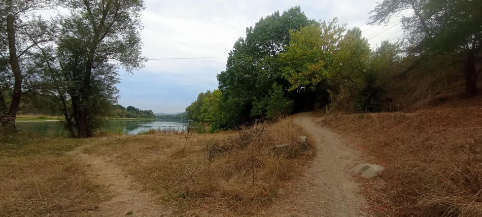 Le long du Rhône