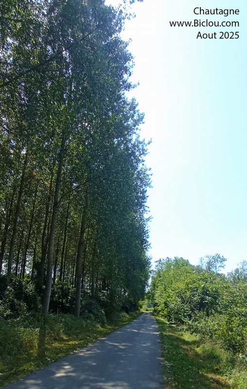 Passage dans la peupleraire , En Chautagne