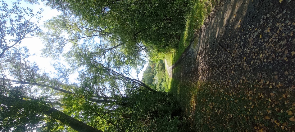 Passage un peu Glauque et caillouteux Sur le chemin de l'Arve ; de Monnetier-Mornex à Etrembières (Haute Savoie) , le long de l'A40