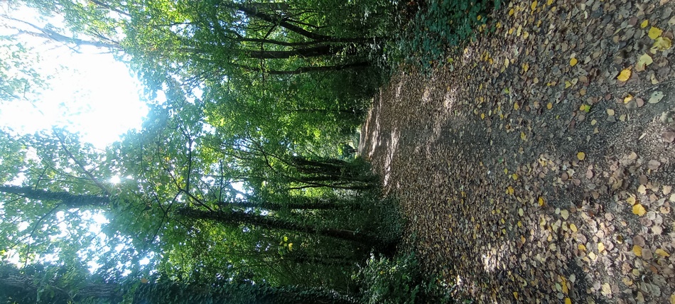 Le long de l'Arve entre Annemasse et Villette en Suisse voisine