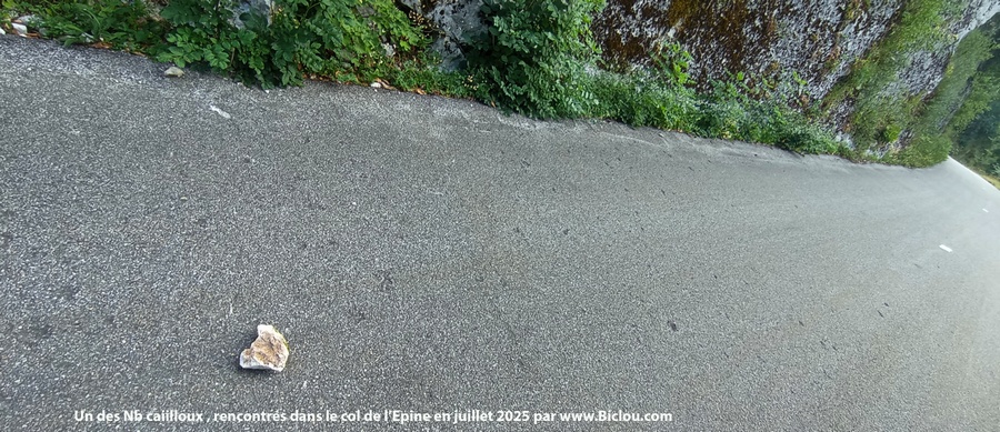 Un des nb cailloux sur la route du col de l'épine, ramassé ensuite par Claudio