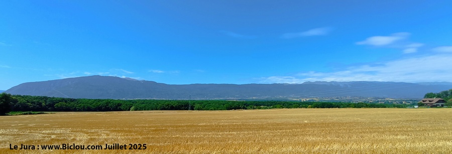 Le Jura, vu de la plaine du Rhône