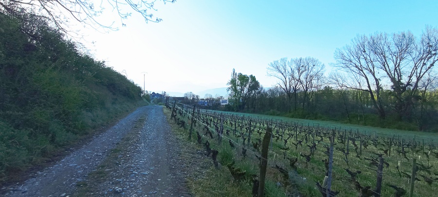 Gravelle dans les vignes de Chignin (Savoie) , ca secoue un peu, mais future vélo-route le V-62 à V-63