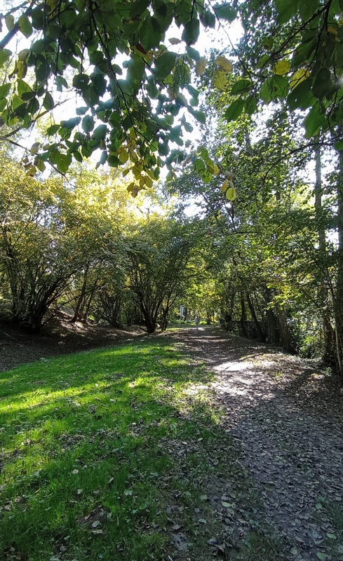 Du côté des étangs de Crosagny sur la vélo-route dite Via-cinq-lacs-?