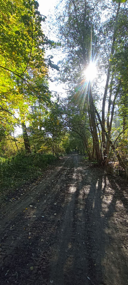 Chemin boueux au voisinage des étangs de crosagny, peu praticable pour le cyclotourisme, VTT à la rigueur